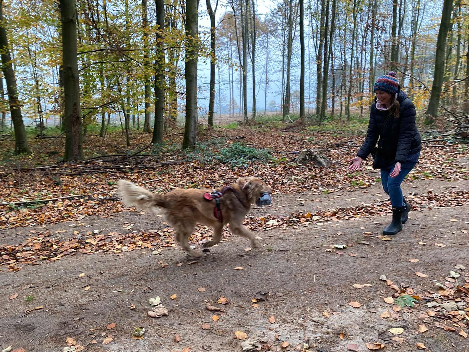 Hundetrainerin Diana Mikulla übt mit einem Hund auf einem Waldweg